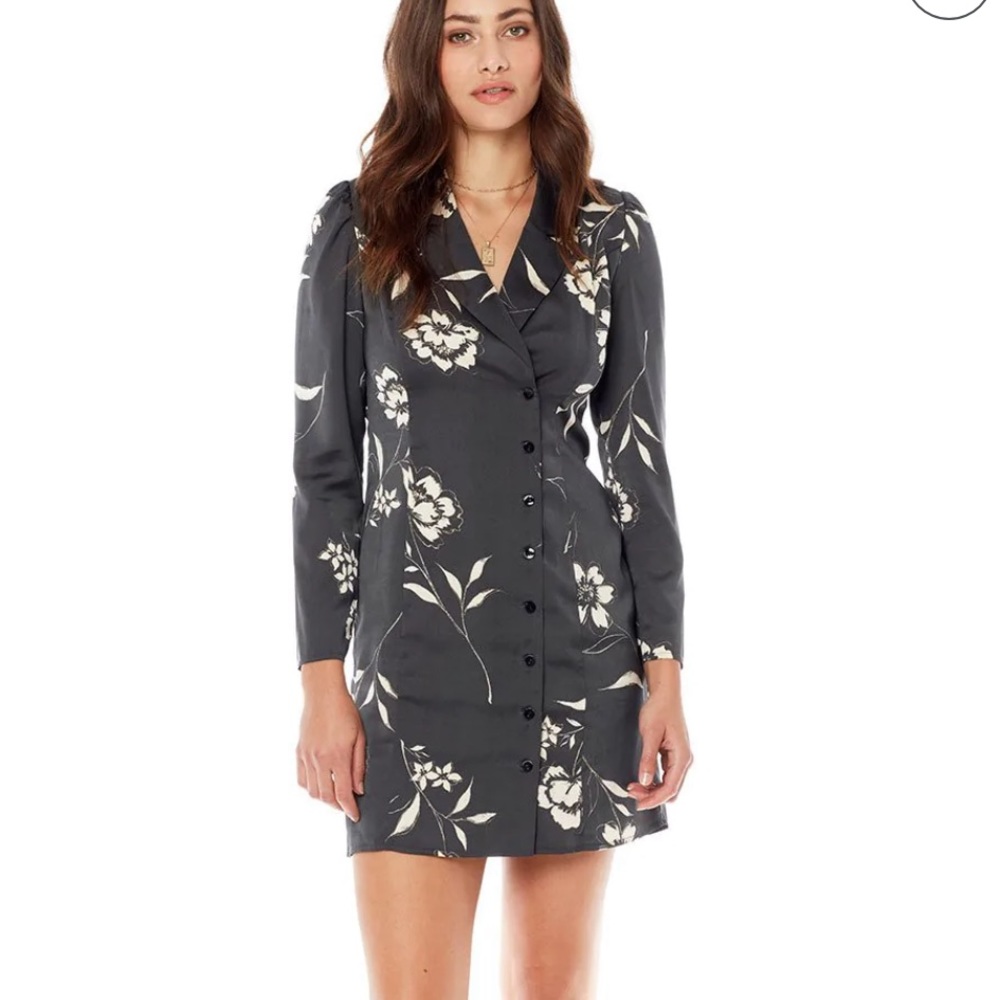 Saltwater Luxe - Raven Button Front Mini Dress size small
